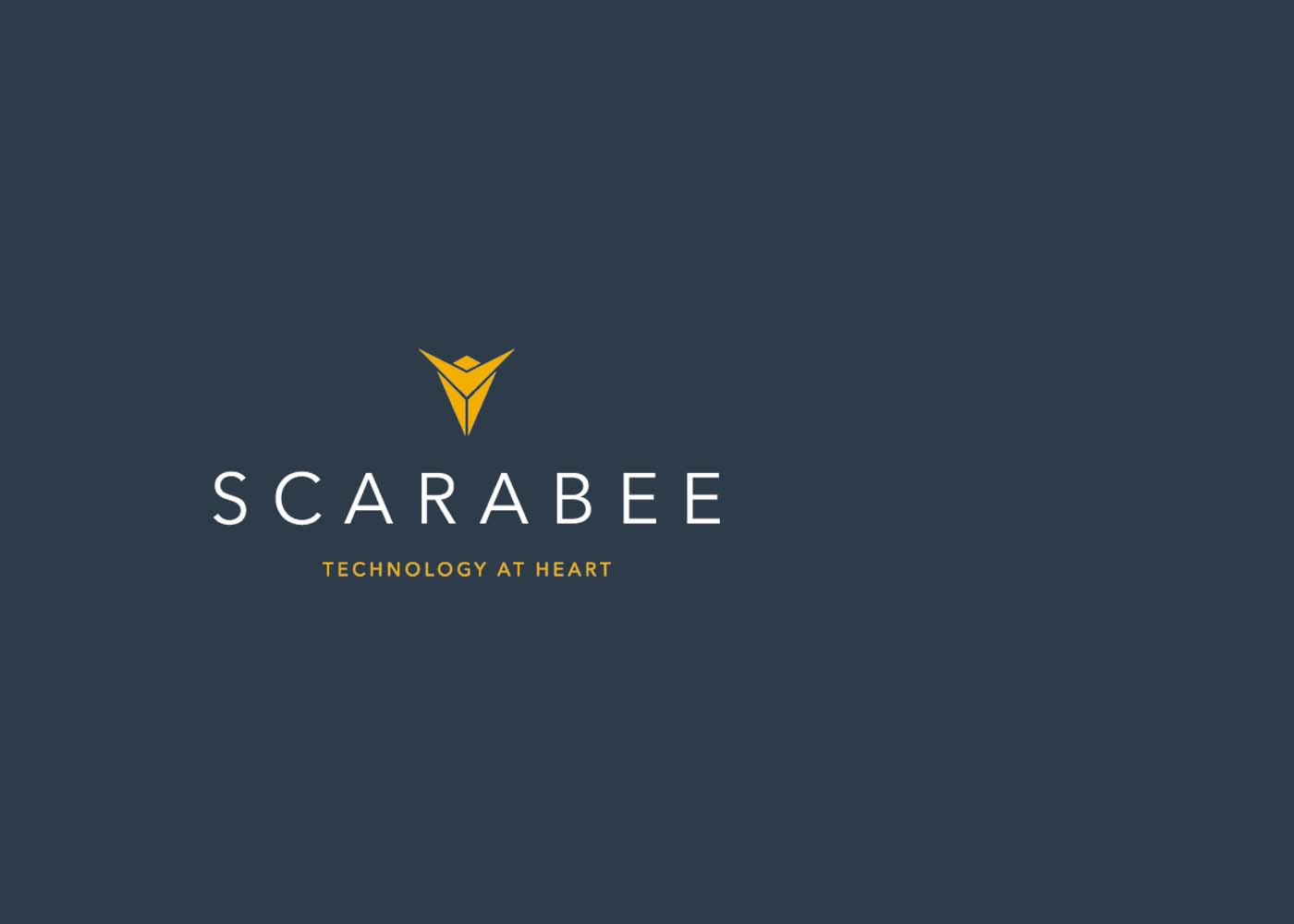 Logo van Scarabee Aviation